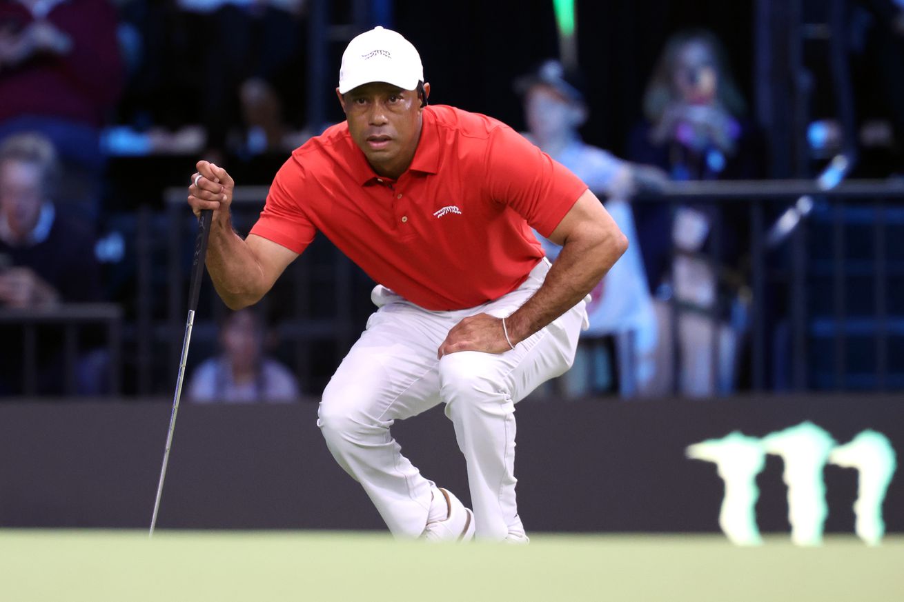 Tiger Woods, TGL