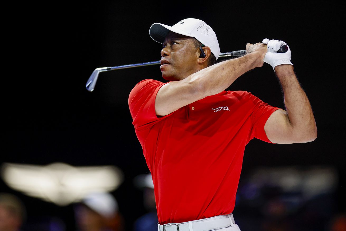 Tiger Woods, TGL