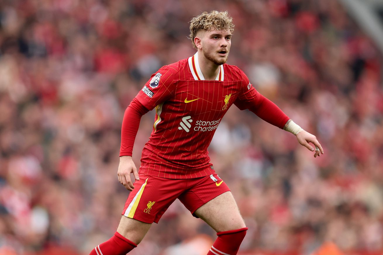 Liverpool FC v Southampton FC - Premier League